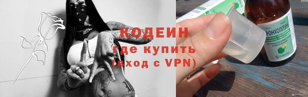 индика Пересвет