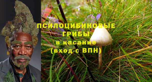 мяу мяу мука Нефтекумск