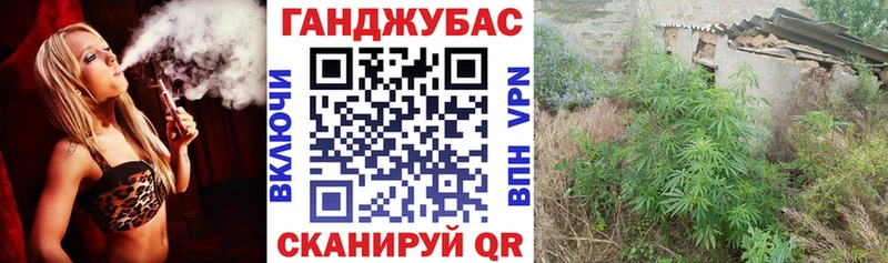 блэк спрут как зайти  Кашин  Канабис планчик  наркошоп 